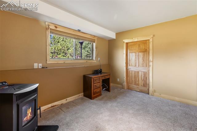 MLS Image for 73  Big Horn  ,Florissant, Colorado