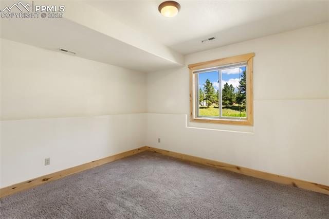 MLS Image for 73  Big Horn  ,Florissant, Colorado