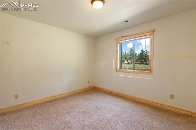 MLS Image for 73  Big Horn  ,Florissant, Colorado