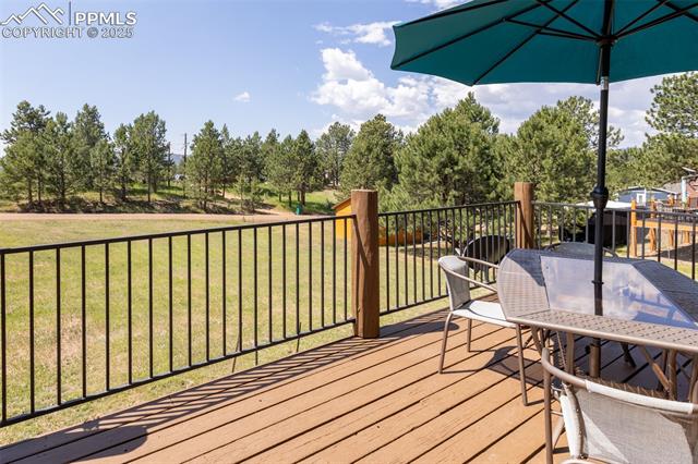 MLS Image for 73  Big Horn  ,Florissant, Colorado