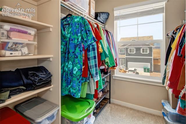 MLS Image for 6133  Alpine Ridge  ,Colorado Springs, Colorado