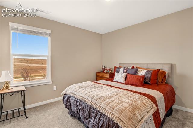 MLS Image for 6133  Alpine Ridge  ,Colorado Springs, Colorado