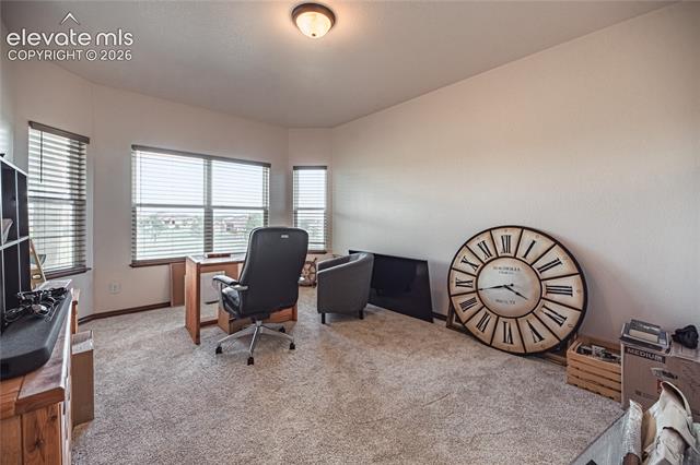 MLS Image for 11854  Black Hills  ,Peyton, Colorado