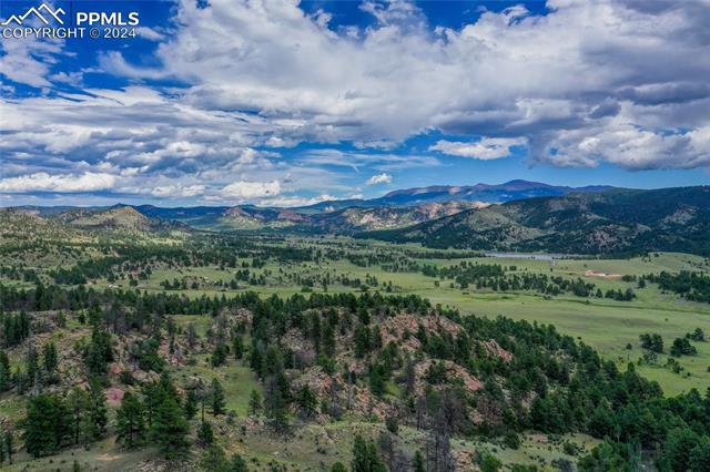 MLS Image for 2  Golden Eagle  ,Florissant, Colorado