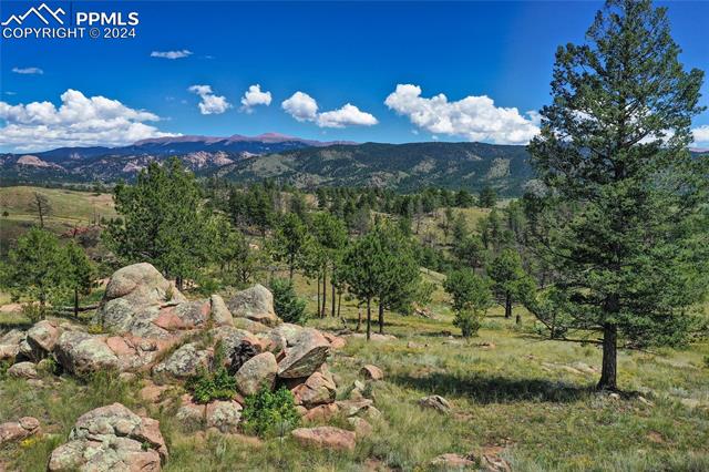 MLS Image for 2  Golden Eagle  ,Florissant, Colorado