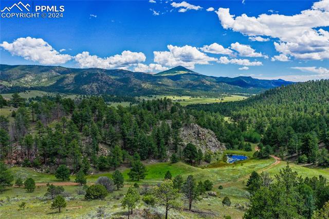 MLS Image for 2  Golden Eagle  ,Florissant, Colorado