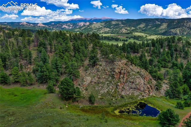 MLS Image for 2  Golden Eagle  ,Florissant, Colorado