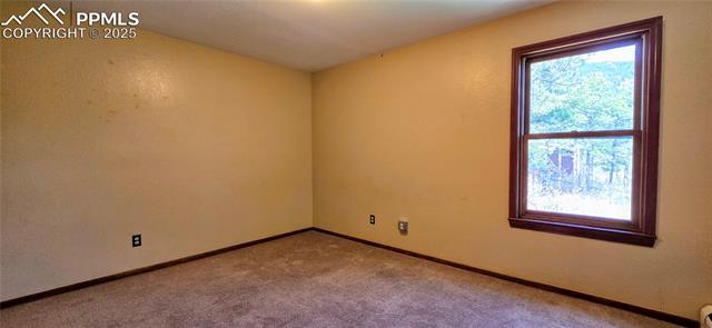 MLS Image for 18170  Forest View  ,Monument, Colorado
