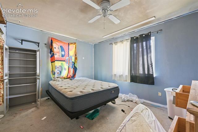 MLS Image for 2438  Barkman  ,Colorado Springs, Colorado