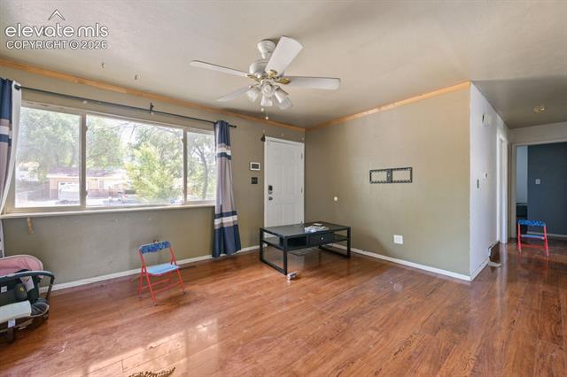 MLS Image for 2438  Barkman  ,Colorado Springs, Colorado
