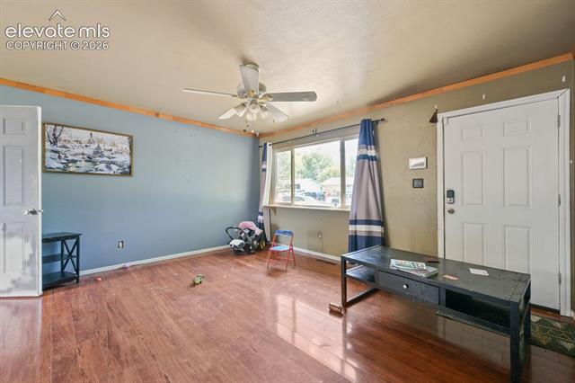 MLS Image for 2438  Barkman  ,Colorado Springs, Colorado