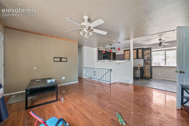 MLS Image for 2438  Barkman  ,Colorado Springs, Colorado