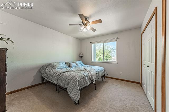 MLS Image for 8318  Freestar  ,Colorado Springs, Colorado