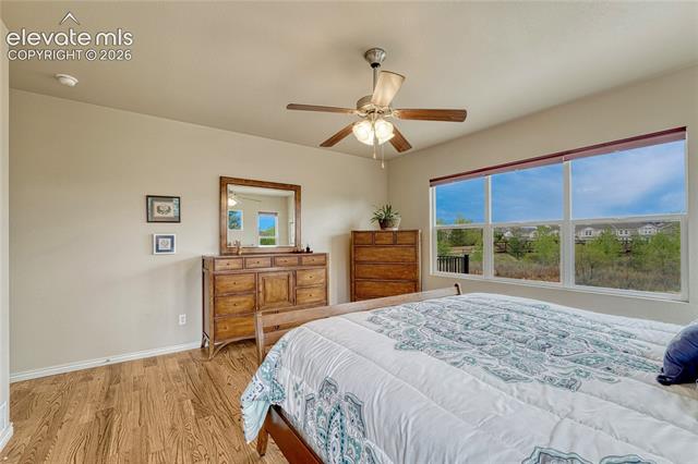 MLS Image for 7104  Midnight Rose  ,Colorado Springs, Colorado
