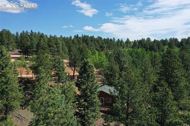 MLS Image for 2846 N Mountain Estates  ,Florissant, Colorado