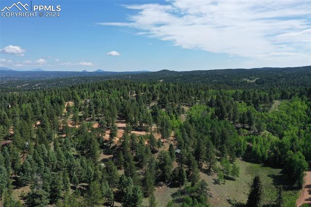 MLS Image for 2846 N Mountain Estates  ,Florissant, Colorado