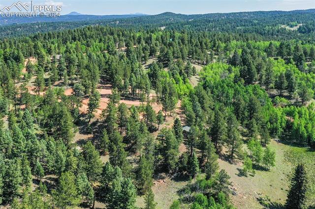 MLS Image for 2846 N Mountain Estates  ,Florissant, Colorado