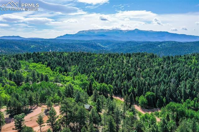 MLS Image for 2846 N Mountain Estates  ,Florissant, Colorado