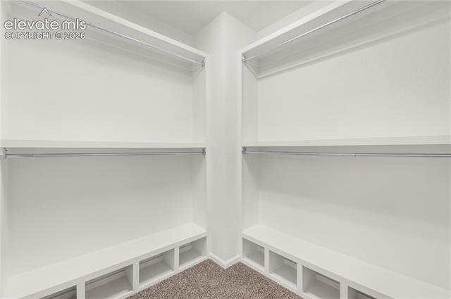 MLS Image for 8276  Birch Tree  ,Colorado Springs, Colorado