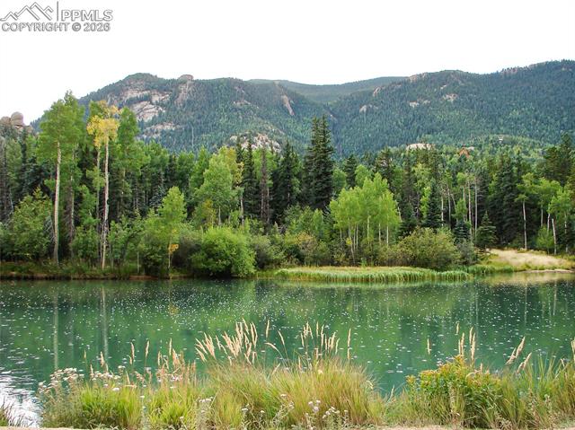 MLS Image for 6060  Big Horn  ,Manitou Springs, Colorado