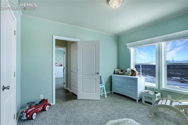 MLS Image for 11055  Milne  ,Colorado Springs, Colorado