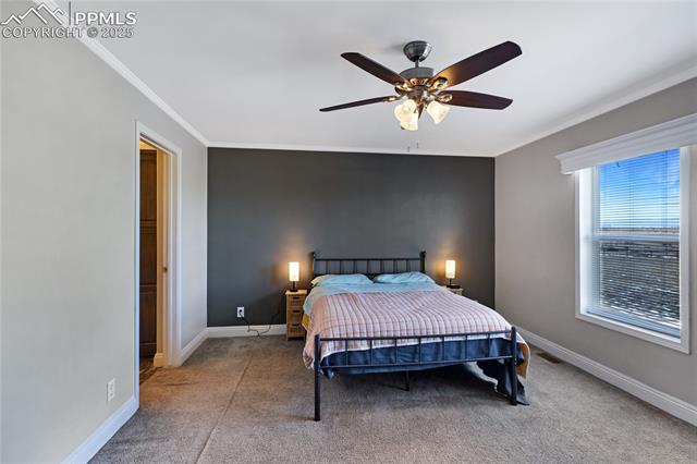 MLS Image for 11055  Milne  ,Colorado Springs, Colorado