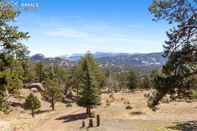 MLS Image for 277  Deerfield  ,Florissant, Colorado