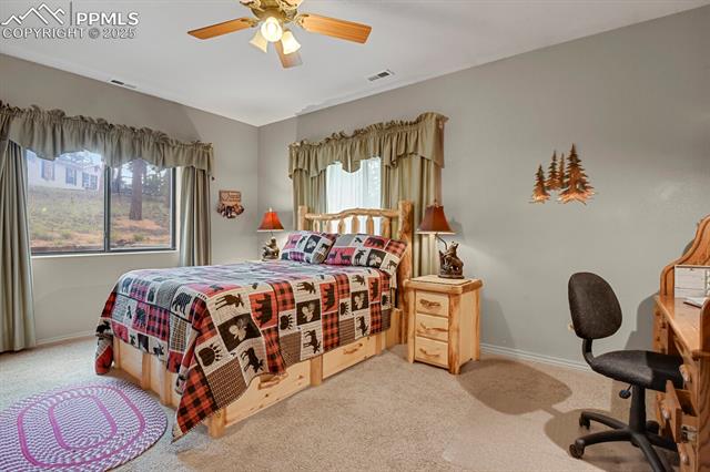 MLS Image for 9  Kingston  ,Florissant, Colorado