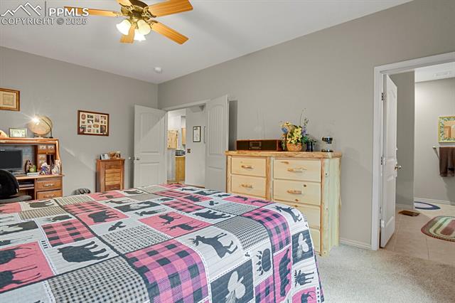 MLS Image for 9  Kingston  ,Florissant, Colorado