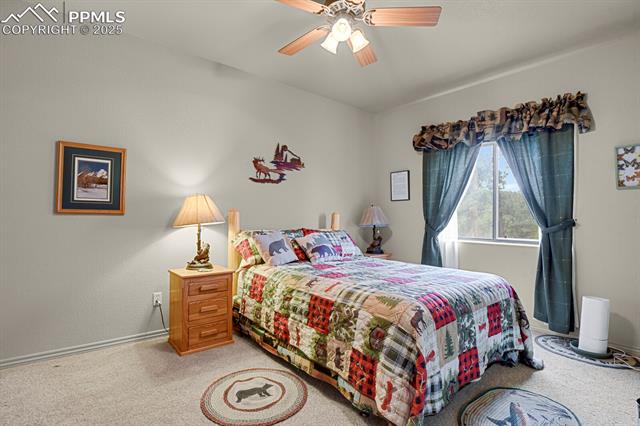 MLS Image for 9  Kingston  ,Florissant, Colorado