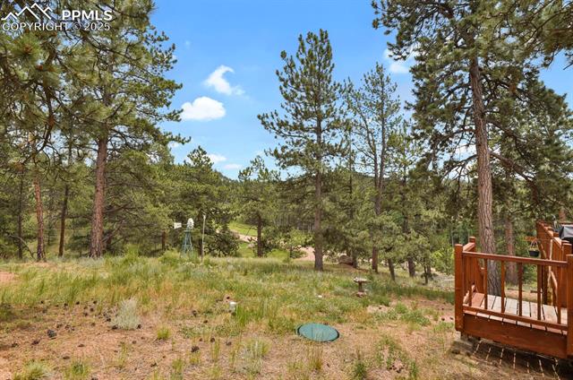 MLS Image for 9  Kingston  ,Florissant, Colorado