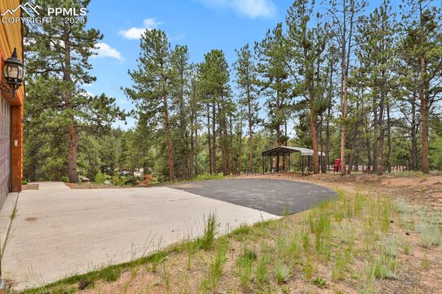 MLS Image for 9  Kingston  ,Florissant, Colorado