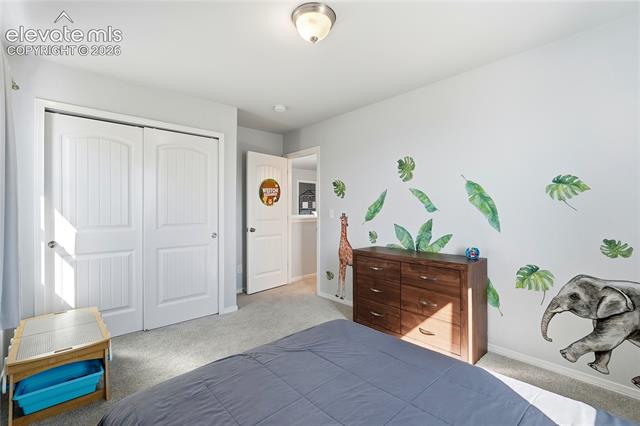 MLS Image for 6945  Sedgerock  ,Colorado Springs, Colorado