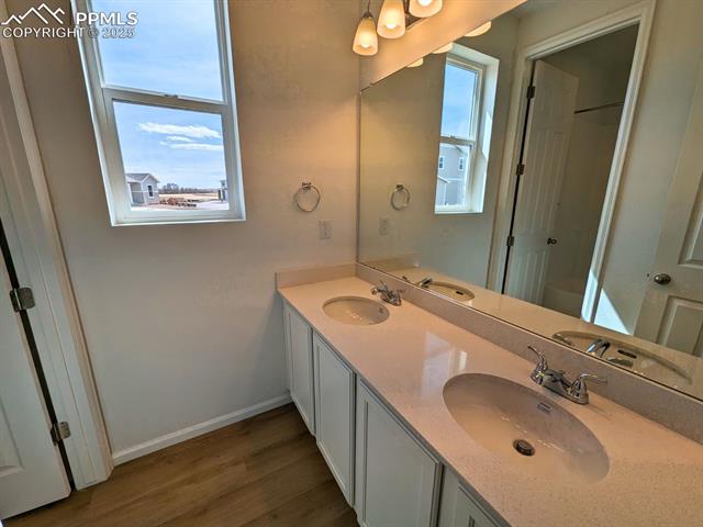 MLS Image for 9701  Pennycress  ,Colorado Springs, Colorado