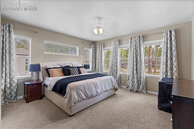 MLS Image for 1734  Summerglow  ,Monument, Colorado