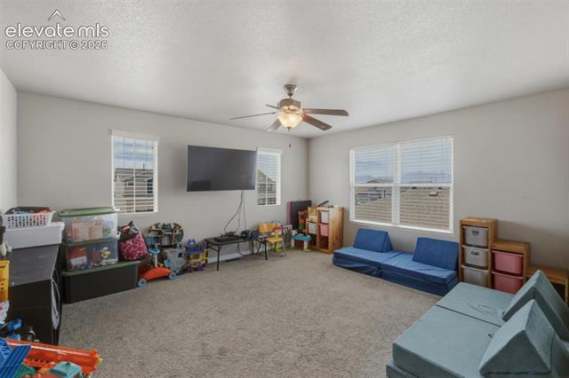 MLS Image for 10902  Scenic Brush  ,Peyton, Colorado