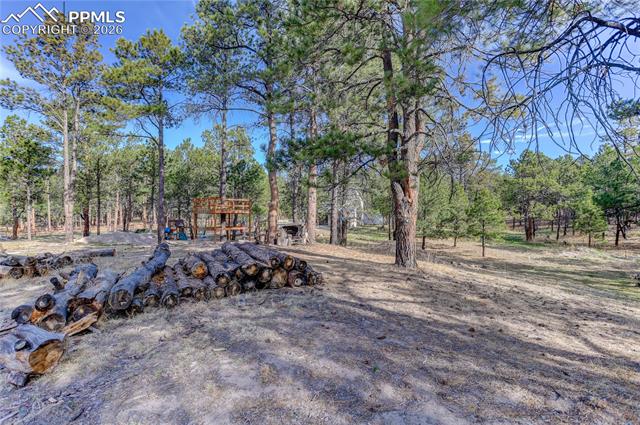 MLS Image for 9920  Hodgen  ,Colorado Springs, Colorado