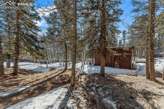 MLS Image for 56  Daisy  ,Woodland Park, Colorado