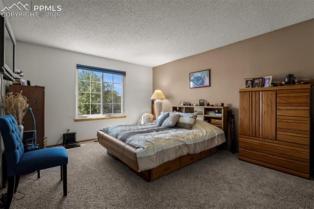 MLS Image for 3670  Arborview  ,Colorado Springs, Colorado