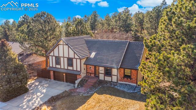 MLS Image for 655  Big Valley  ,Colorado Springs, Colorado