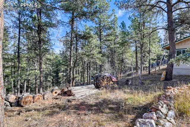 MLS Image for 281  Mesa  ,Florissant, Colorado