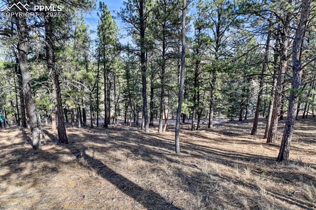 MLS Image for 281  Mesa  ,Florissant, Colorado