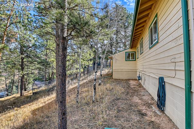 MLS Image for 281  Mesa  ,Florissant, Colorado
