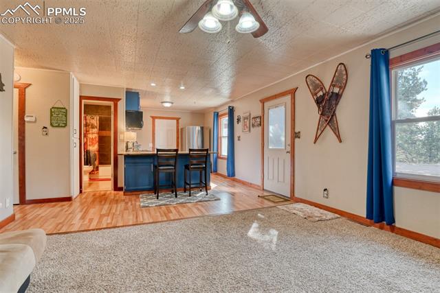 MLS Image for 281  Mesa  ,Florissant, Colorado
