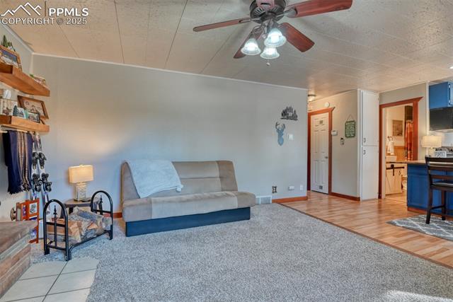 MLS Image for 281  Mesa  ,Florissant, Colorado