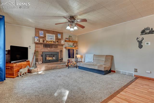 MLS Image for 281  Mesa  ,Florissant, Colorado