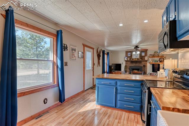 MLS Image for 281  Mesa  ,Florissant, Colorado