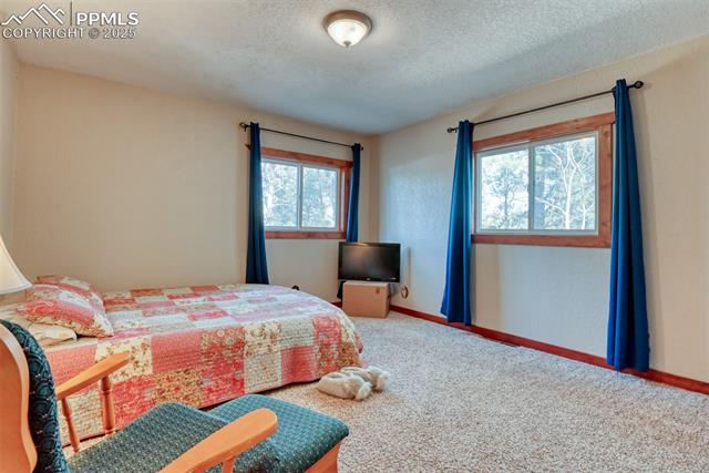 MLS Image for 281  Mesa  ,Florissant, Colorado