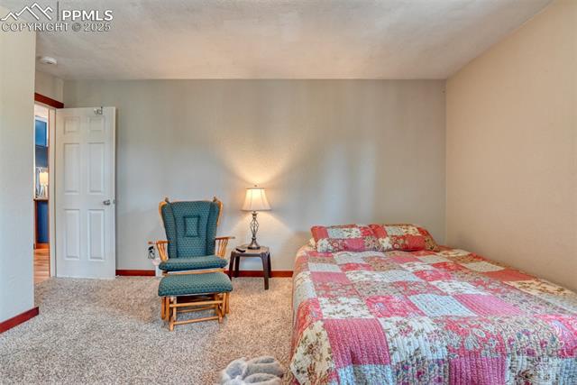 MLS Image for 281  Mesa  ,Florissant, Colorado