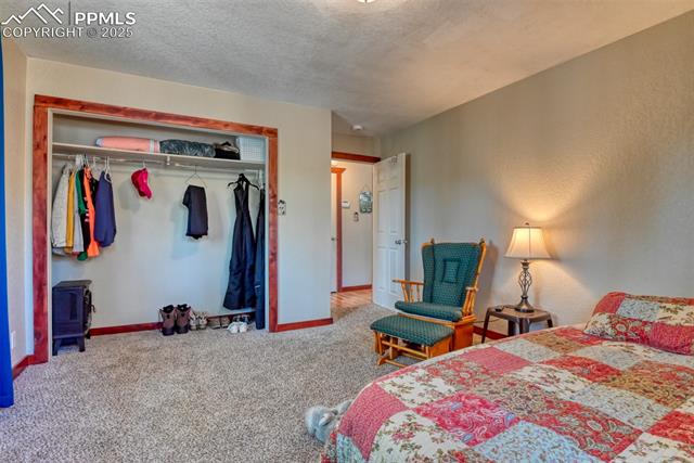 MLS Image for 281  Mesa  ,Florissant, Colorado